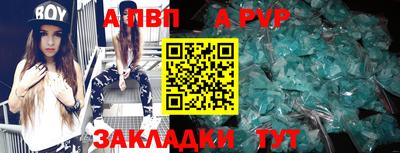 прущие крисы Кингисепп