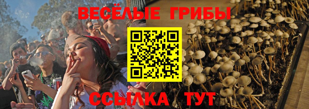 Новороссийск  Галлюциногенные грибы Cubensis  Вход с VPN  Псилоцибиновые грибы прущие грибы 
